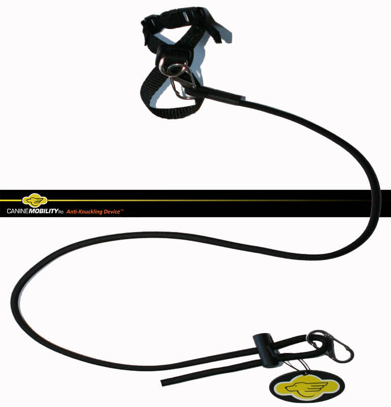 Winner small image - Canine Mobility, LLC